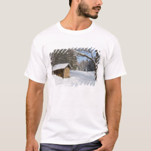 Eine verschneite Szene am Little Lyford Pond des A T-Shirt