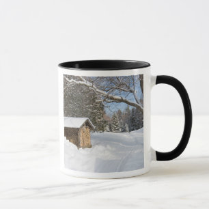 Eine verschneite Szene am Little Lyford Pond des A Tasse