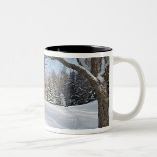 Eine verschneite Szene am Little Lyford Pond des A Zweifarbige Tasse