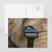 Eine verstörende Postkarte (TM) (Vorne/Hinten)