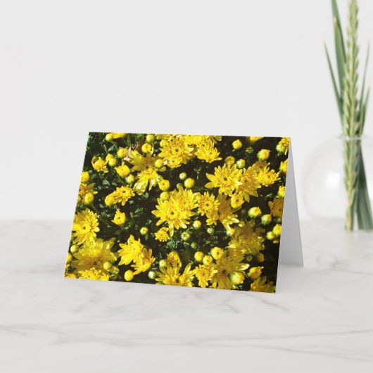 Eine Vielzahl gelber Mums Dankeskarte (Vorderseite)