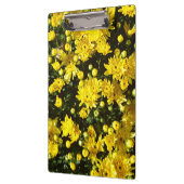 Eine Vielzahl gelber Mums Klemmbrett (Links)