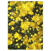 Eine Vielzahl gelber Mums Klemmbrett (Rückseite)