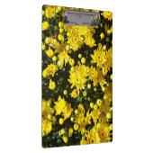 Eine Vielzahl gelber Mums Klemmbrett (Rechts)