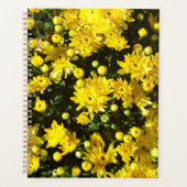 Eine Vielzahl gelber Mums Planer (Vorderseite)