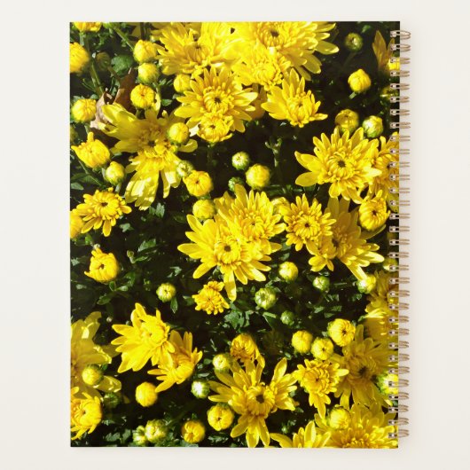 Eine Vielzahl gelber Mums Planer (Rückseite)