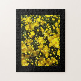 Eine Vielzahl gelber Mums Puzzle