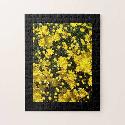 Eine Vielzahl gelber Mums Puzzle (Vertikal)