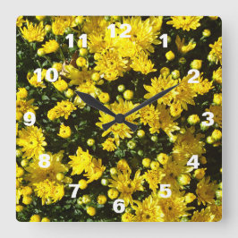 Eine Vielzahl gelber Mums Quadratische Wanduhr