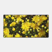 Eine Vielzahl gelber Mums Schreibtischunterlage (Vorderseite)