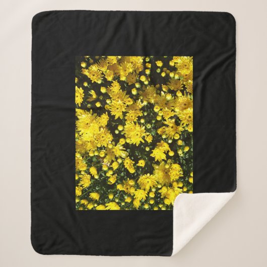 Eine Vielzahl gelber Mums Sherpadecke (Vorderseite)