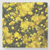 Eine Vielzahl gelber Mums Steinuntersetzer (Vorderseite)