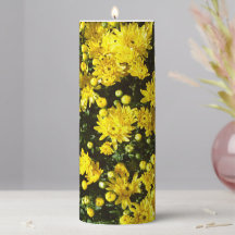 Eine Vielzahl gelber Mums