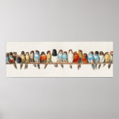 Eine Vintage Illustration über Vögel, 1880 Poster (Vorne)