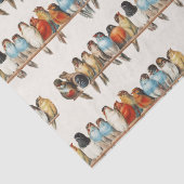 Eine Vintage Illustration über Vögel, 1880 Seidenpapier (Detail)