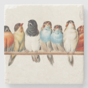 Eine Vintage Illustration über Vögel, 1880 Steinuntersetzer