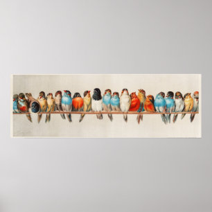 Eine Vintage Illustration über Vögel Poster