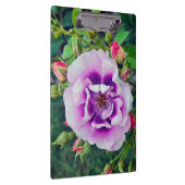 Eine violette Rose Klemmbrett (Rechts)