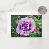 Eine violette Rose Mitteilungskarte (Vorderseite/Rückseite Beispiel)
