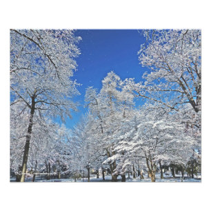 EINE VISION IN WEISS / ERSTES SCHNEESCHLAG WENDET  FOTODRUCK