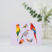Eine Vogelsammlung Postkarte (Stehend Vorderseite)