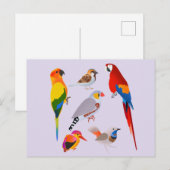 Eine Vogelsammlung Postkarte (Vorne/Hinten)
