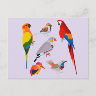 Eine Vogelsammlung Postkarte