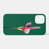 Eine Voodoo-Lilie-Blüte Case-Mate iPhone Hülle (Rückseite (Horizontal))