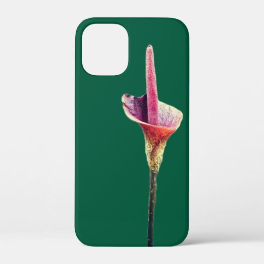 Eine Voodoo-Lilie-Blüte Case-Mate iPhone Hülle (Rückseite)