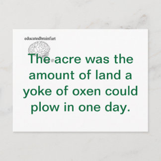 Eine Wahrheit Postkarte