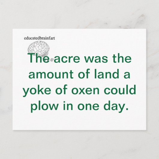 Eine Wahrheit Postkarte (Vorderseite)