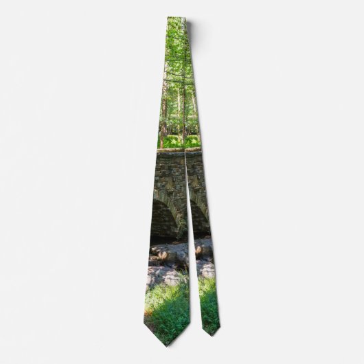 Eine Wald Walkway Bridge Neck Tie Krawatte (Vorderseite)
