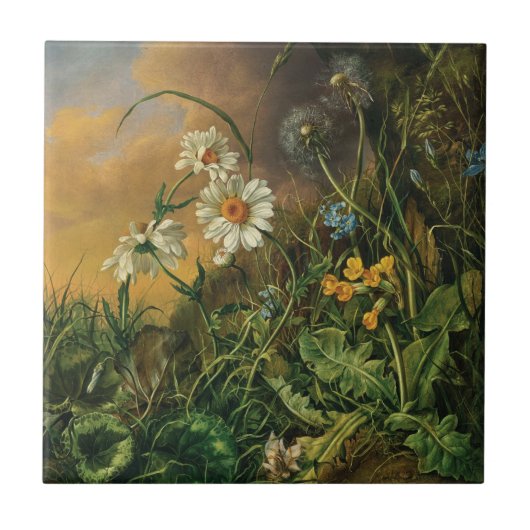 Eine Waldfläche mit Daisies, Primrosen, ... Fliese (Vorderseite)