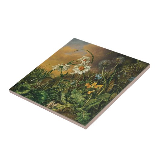 Eine Waldfläche mit Daisies, Primrosen, ... Fliese (Seite)