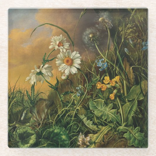 Eine Waldfläche mit Daisies, Primrosen, ... Glasuntersetzer (Vorderseite)