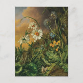 Eine Waldfläche mit Daisies, Primrosen, ... Postkarte (Vorderseite)