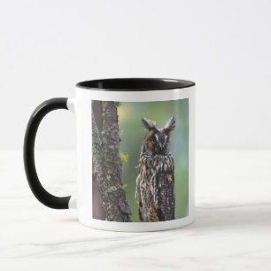 Eine Waldohreule auf einem Ast sitzend Tasse
