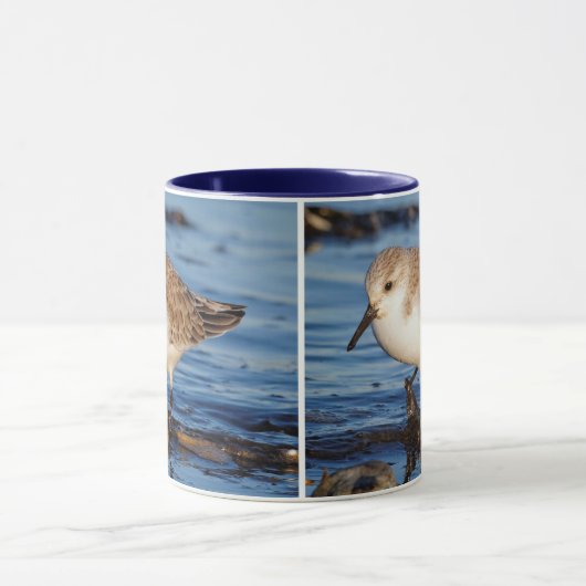 Eine Wanderung Sanderling Tasse (Zentrum)