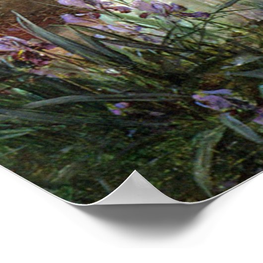 Eine Wasseridylle von Hans Zatzka - Poster (Ecke)