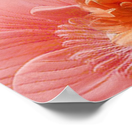 Eine weiche, rosa Farbe namens Peach Fuzz Blume Poster (Ecke)