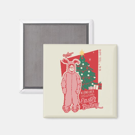 Eine Weihnachtsgeschichte | Deranged Oaster Bunny Magnet (Vorderseite/Rückseite)