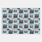 Eine Weihnachtsgeschichte | Merry Chwithmuth Patte Geschenkpapier Set (Vorderseite 3)