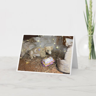 Eine Weihnachtskuh Karte