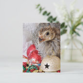 Eine Weihnachtszeit-Guinea Feiertagspostkarte (Stehend Vorderseite)