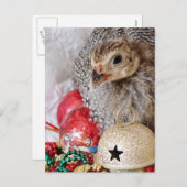 Eine Weihnachtszeit-Guinea Feiertagspostkarte (Vorne/Hinten)