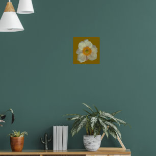 Eine weiße Blume Poster