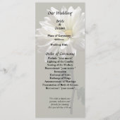 Eine weiße Daisy Programm (Vorderseite)