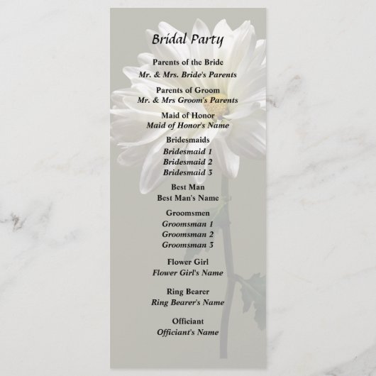 Eine weiße Daisy Programm (Rückseite)