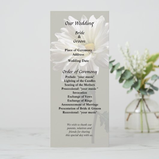 Eine weiße Daisy Programm (Stehend Vorderseite)