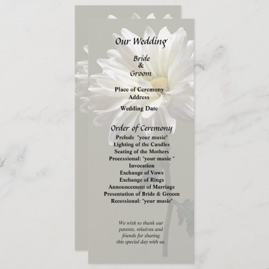 Eine weiße Daisy Programm (Vorne/Hinten)